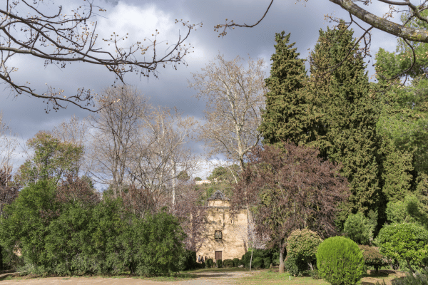 Andalucia's Cave Houses