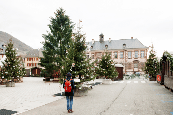 Alsace Christmas Markets