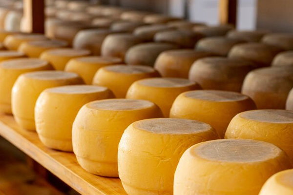 Award-Winning Global Cheeses Guide