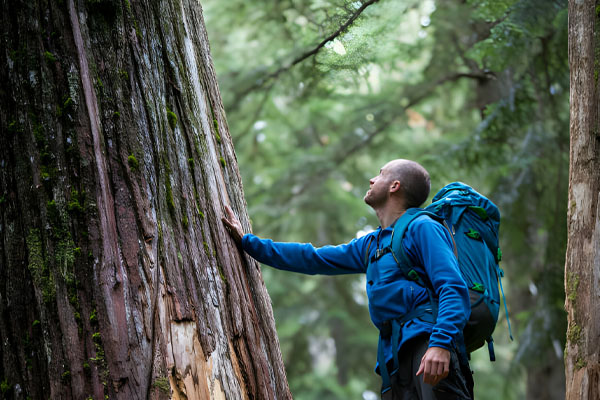 Conservation Tourism: Nature's Ally