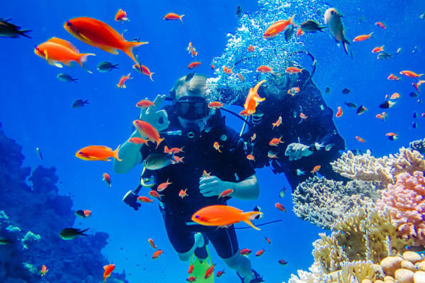 Top Diving Destinations Explored