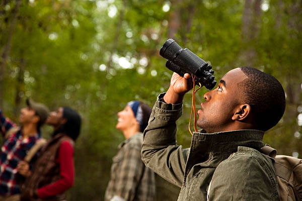 Birdwatching Around the World