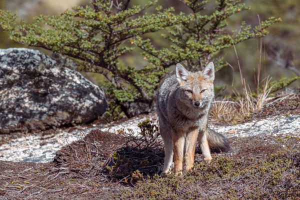 Discover Ushuaia End World